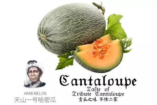 壹号的吃瓜群众,揭秘娱乐圈幕后风云