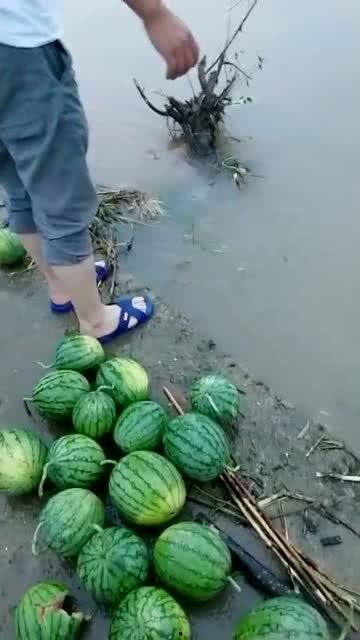 宜兴河边吃瓜事件,一场引发热议的街头冲突瞬间