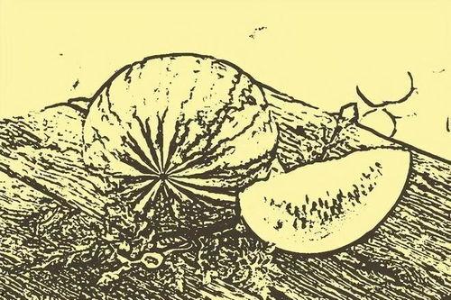 民间故事吃瓜,民间故事里的神秘食瓜传说