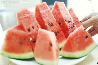 9点准时吃瓜,瓜田盛宴等你来