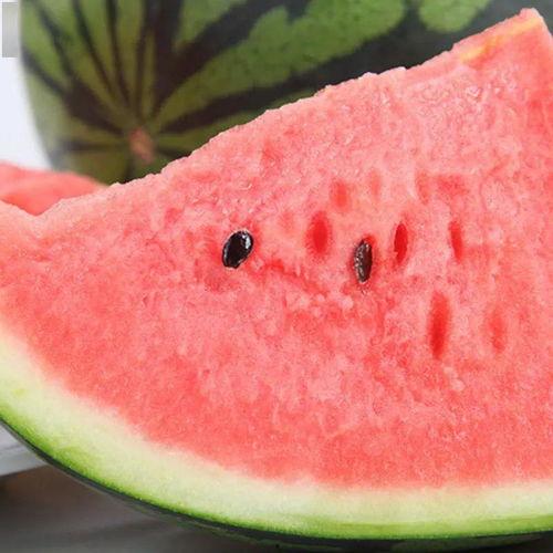 泗水吃瓜事件,一场引发社会热议的网络风波