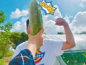 网红吃瓜爆料718