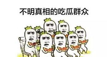 小申现在吃瓜,揭秘娱乐圈最新热点