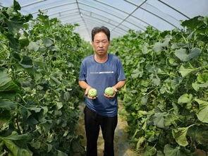 山西女物业吃瓜,一场邻里纷争引发的舆论风暴