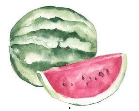 吃瓜上位者,揭秘吃瓜上位者的崛起之路