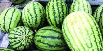 瓜洲免费吃瓜在哪呢,瓜洲免费吃瓜活动地点大揭秘