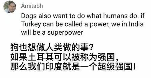 名人吃瓜事件概括