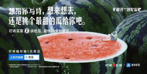 吃瓜推荐文案,带你领略美食与娱乐的双重盛宴