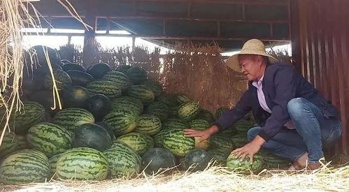 李吃瓜,揭秘娱乐圈幕后故事，带你走进明星真实生活