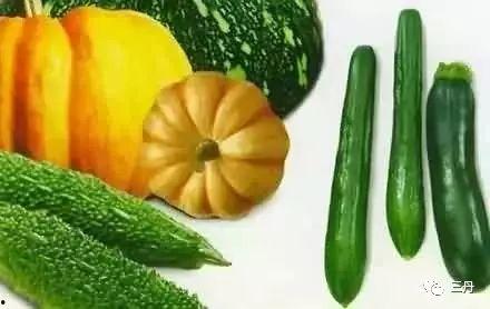 吃瓜三社,揭秘网络热议背后的真实故事