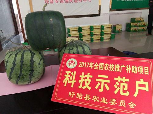 吃佛瓜好,探寻夏日清凉美食之旅