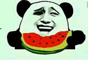 吃瓜蒙主意见,一场全民参与的娱乐盛宴