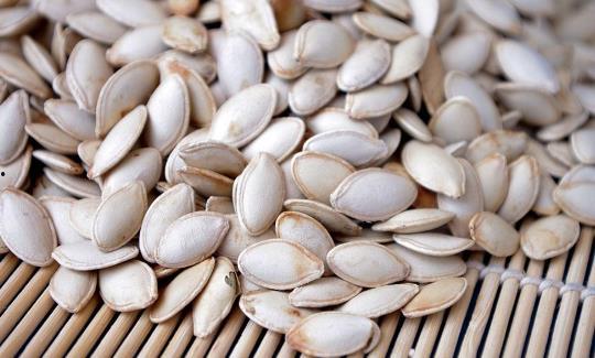 云南吃籽的瓜,吃籽瓜的别样风情