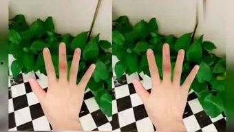 小楠吃瓜日记,揭秘娱乐圈幕后故事