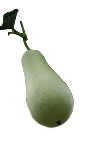 吃蒲瓜吐了,美味与不适的碰撞