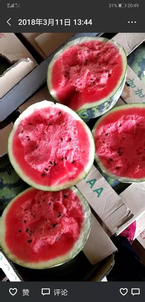 家家悦吃瓜大赛,欢乐盛夏，瓜王争霸